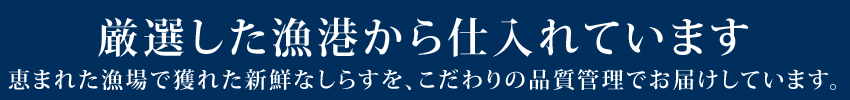 代表者ごあいさつ