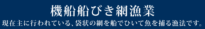 機船船びき網漁業